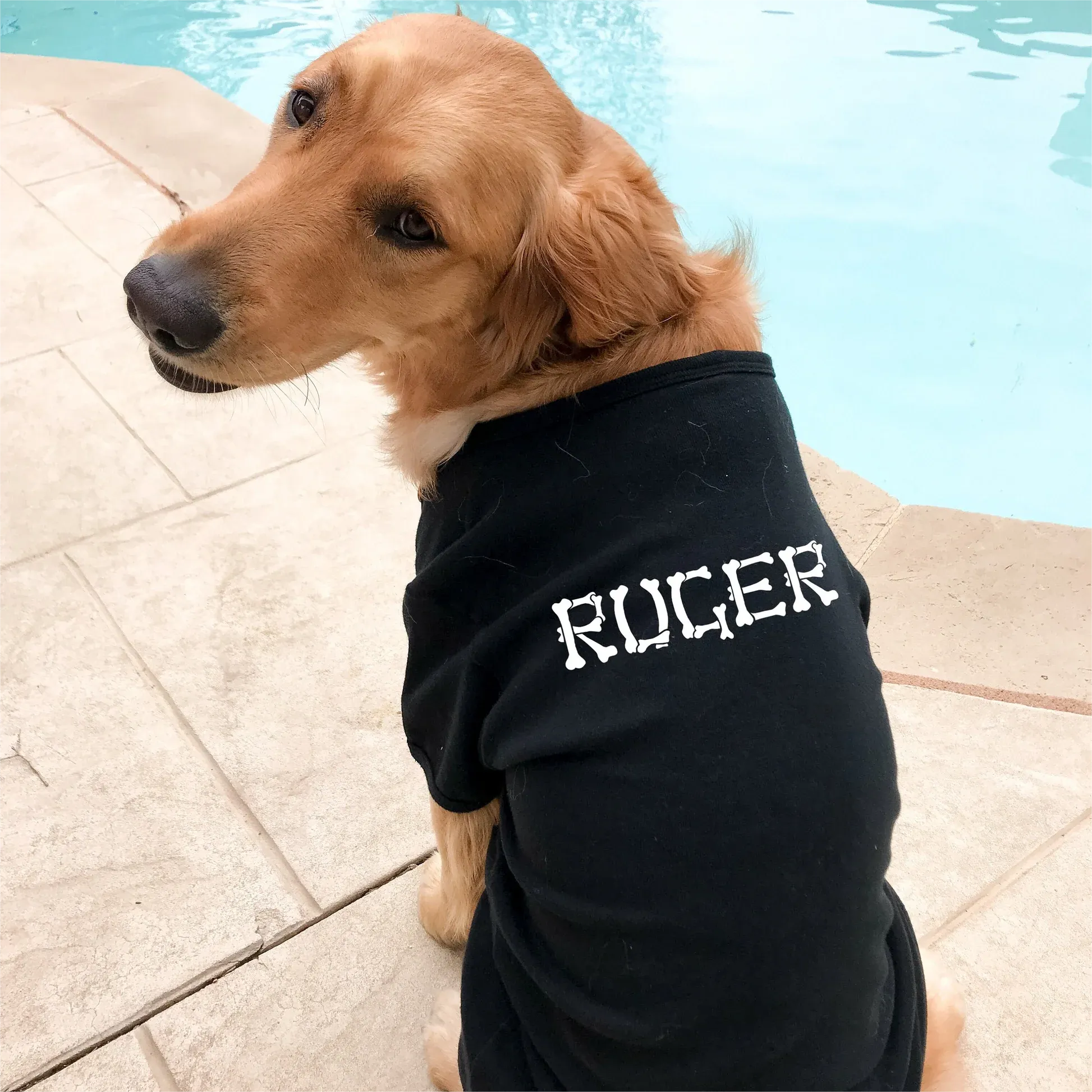Personalized Dog Name Shirt